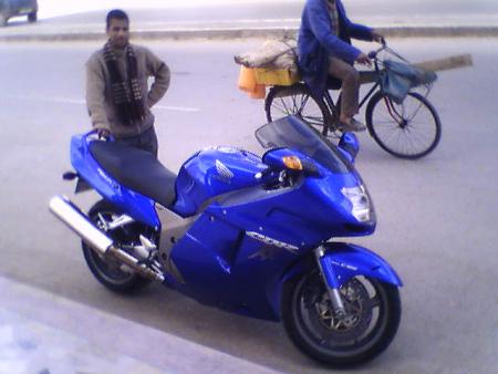 tjr moi lol