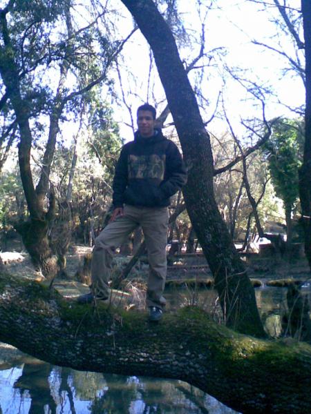 dima